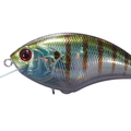 Tsuresu Gill BH45