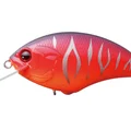 Sunset Tiger PP50