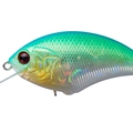 DM Citrus Shad DM84