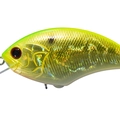 Light Gold Chart H90