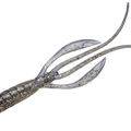 Golden Shiner TW103