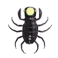 Orikin Black OM010