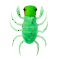 Grasshopper OM021