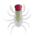 Chironomidae OM023