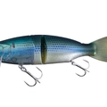 Real Gizzard Shad KSW06