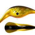 Black Gold Orange Belly .B H04