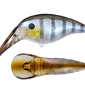 See-through Gill.C GG30