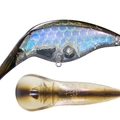 TS Bait Fish .C TS42
