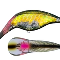 TG Corkline site SP.C GC88