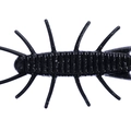 Black W016