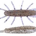 Ghost Shrimp TW117