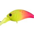 Hapipara TR001