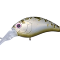 Edel Olive TR004
