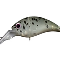 Chara Chara Olive TR009