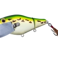 Mighty Frog P56