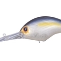 Tasty Shad P23