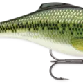 Baby Bass