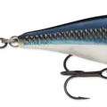 Shad