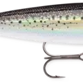 Holographic Silver