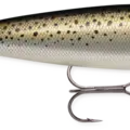 Speckled Trout