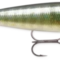 Bluegill