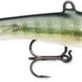 Bluegill
