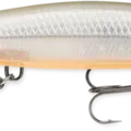 Bone