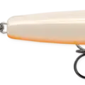 Bone