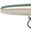 Shad