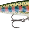 Rainbow Trout