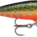 Brook Trout