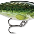 Baby Bass