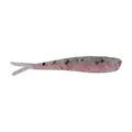 Rainbow Trout