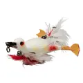 Ugly Duckling