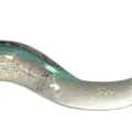 Chameleon Eel