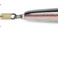 Silver Shad