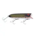 Baby Bass