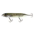 Florida Bass