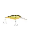 Yellow Perch