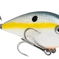 Sexy Shad