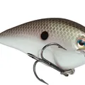 Green Gizzard Shad