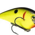 Black Back Chartreuse