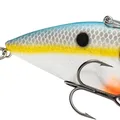 Sexy Shad