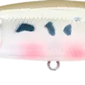 Pearl Vairon - French Bait Fish