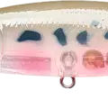 Ghost Vairon - French Bait Fish