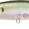 Flake Flake Golden Sexy Minnow