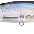 Ghost Threadfin Shad