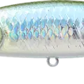 MS Japan Shad