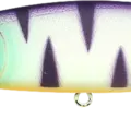 Mat Tiger