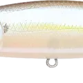 Chartreuse Shad